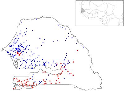 New Genetic Insights into Pearl Millet Diversity As Revealed by Characterization of Early- and Late-Flowering Landraces from Senegal